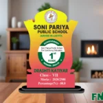 Custom School Achievement Trophy – FNT07