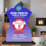 Custom School Achievement Trophy – FNT08