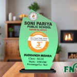 Custom School Achievement Trophy – FNT09